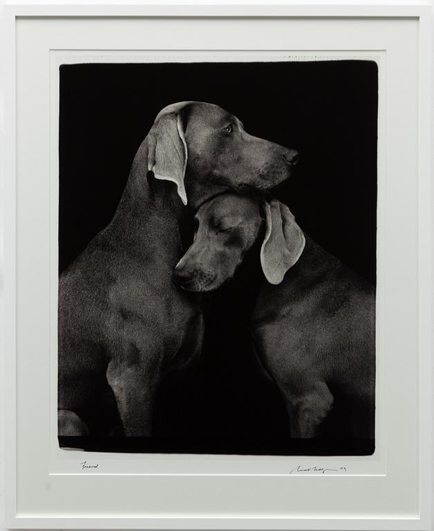 William Wegman, "Friends".