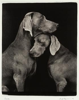 William Wegman, archival pigment print 2009, signed. Numbered 262/1500 verso.