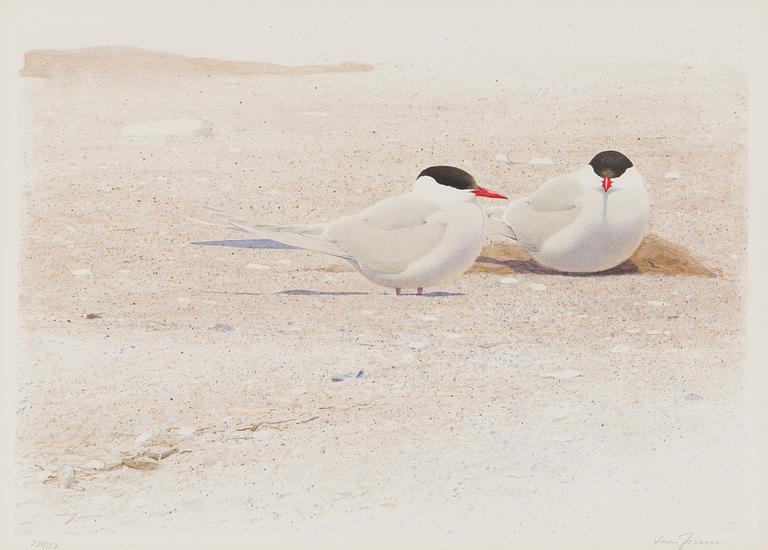 Lars Jonsson, Two birds.