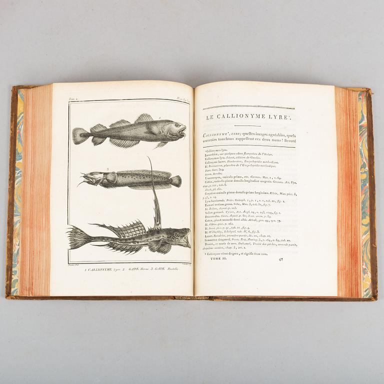 With 132 engraved plates of fishes and whales.