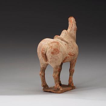 A pottery figure of a horse,  Tang dynasty (618-906).