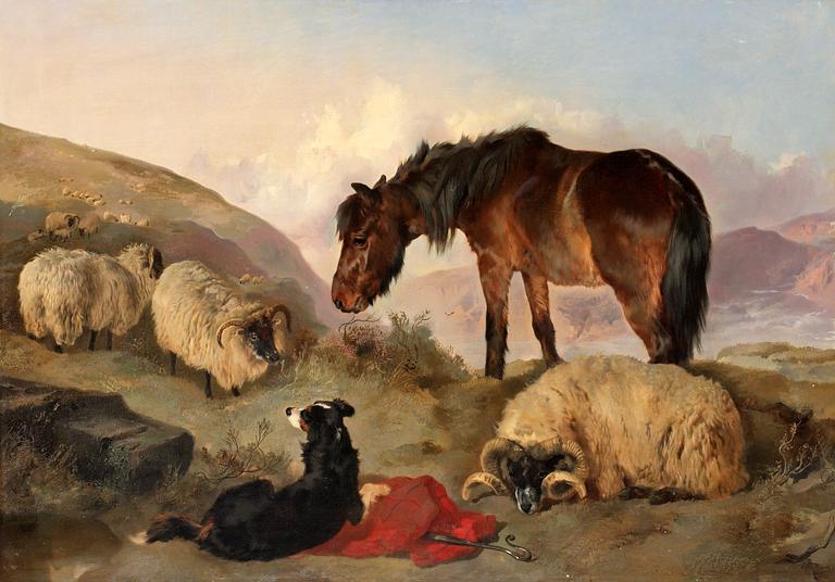 George William Horlor Tillskriven, "Highland Sheep".