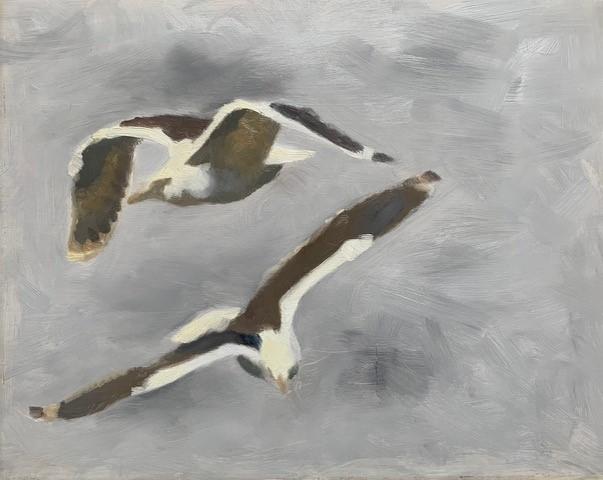 Bruno Liljefors, Flying seagulls.