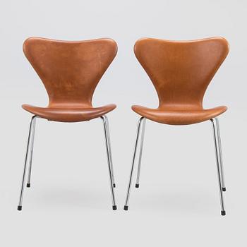 Arne Jacobsen, six "Seven" chairs, Fritz Hansen, Denmark late 20th century.