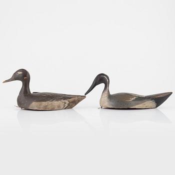 Two wooden decoy ducks, first half of the 20th Century.