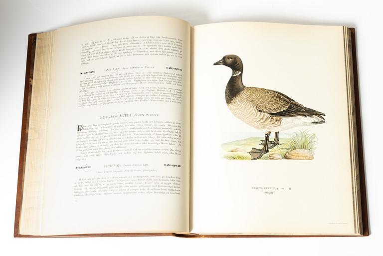 Bröderna von Wright, books, three volumes, 'Svenska fåglar', A. Börtzells tryckeri AB, Stockholm, 1927-29.