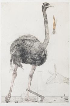 PG Thelander, "Europeiska strutsar VI".