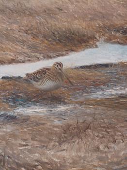 Lars Jonsson, "Spring Sign".