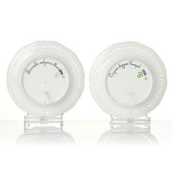 A set of 12 Royal Copenhagen 'Flora Danica' lunch plates, Denmark, 1889-1922.