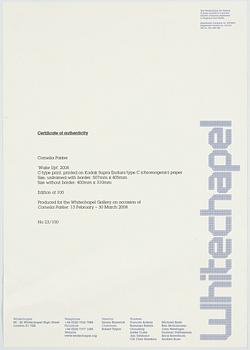 Cornelia Parker, "Wake up!", 2008.