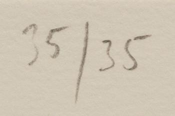 Astrid Sylwan, untitled.