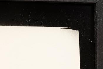 Denise Grünstein, "Blyertskameler", 1999.