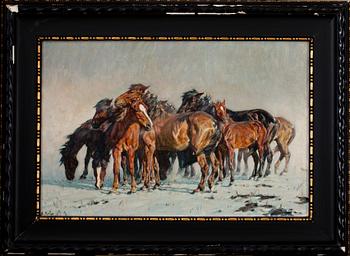 Alfred Roloff, WILD HORSES.