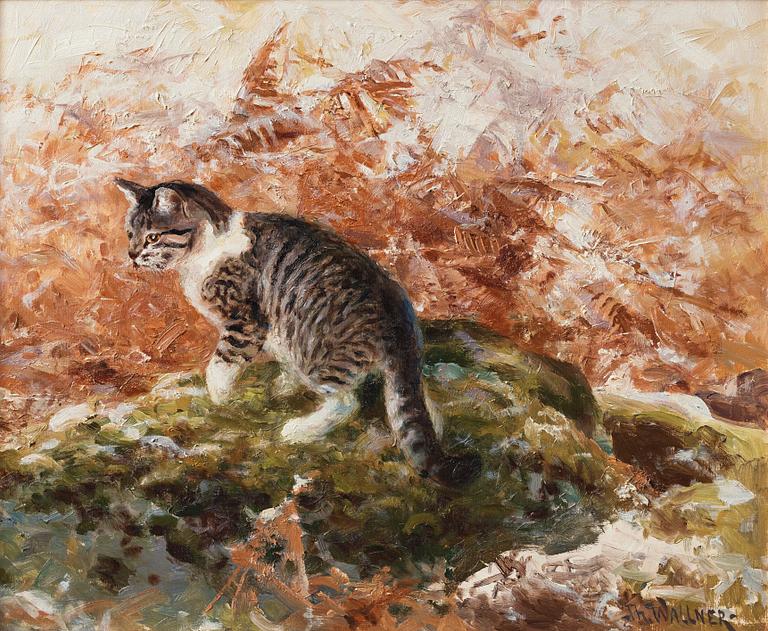 Thure Wallner, Katt.