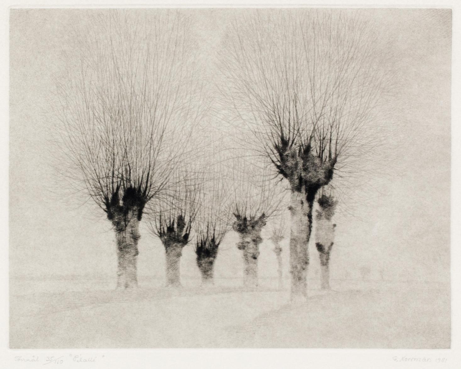 GUNNAR NORRMAN, signed.