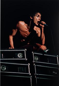 Torbjörn Calvero, "Iggy Pop", 1976.