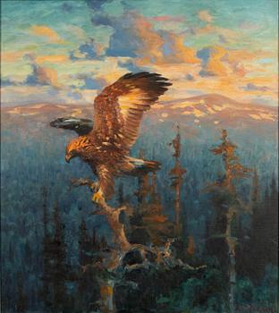 Thure Wallner, Eagle in sunset.