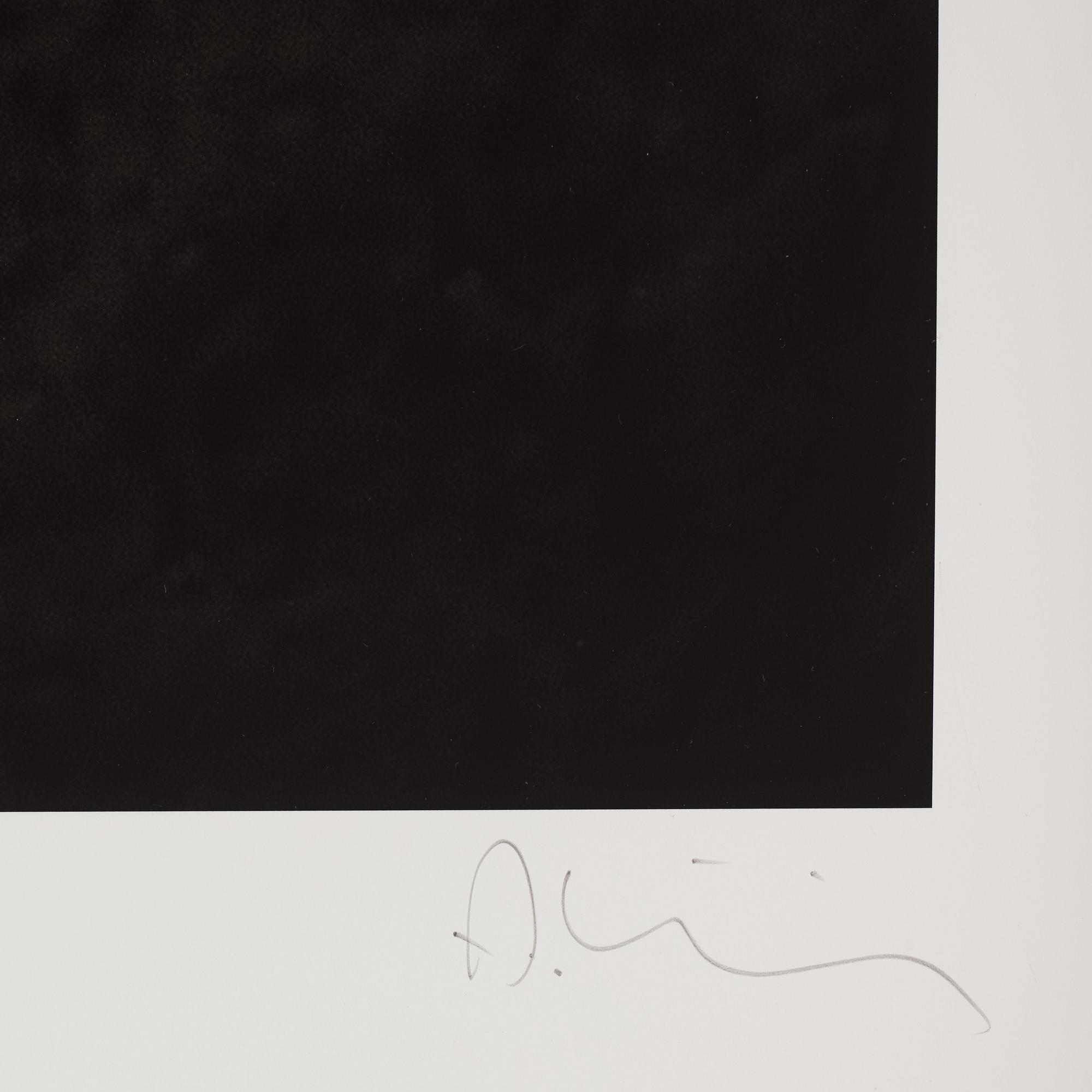 Albert Wiking, "Zara", 2015.