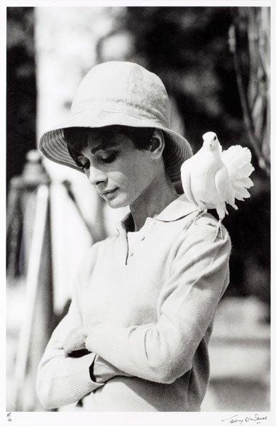 Terry O'Neill, "Audrey Hepburn with dove, St Tropez", 1967.