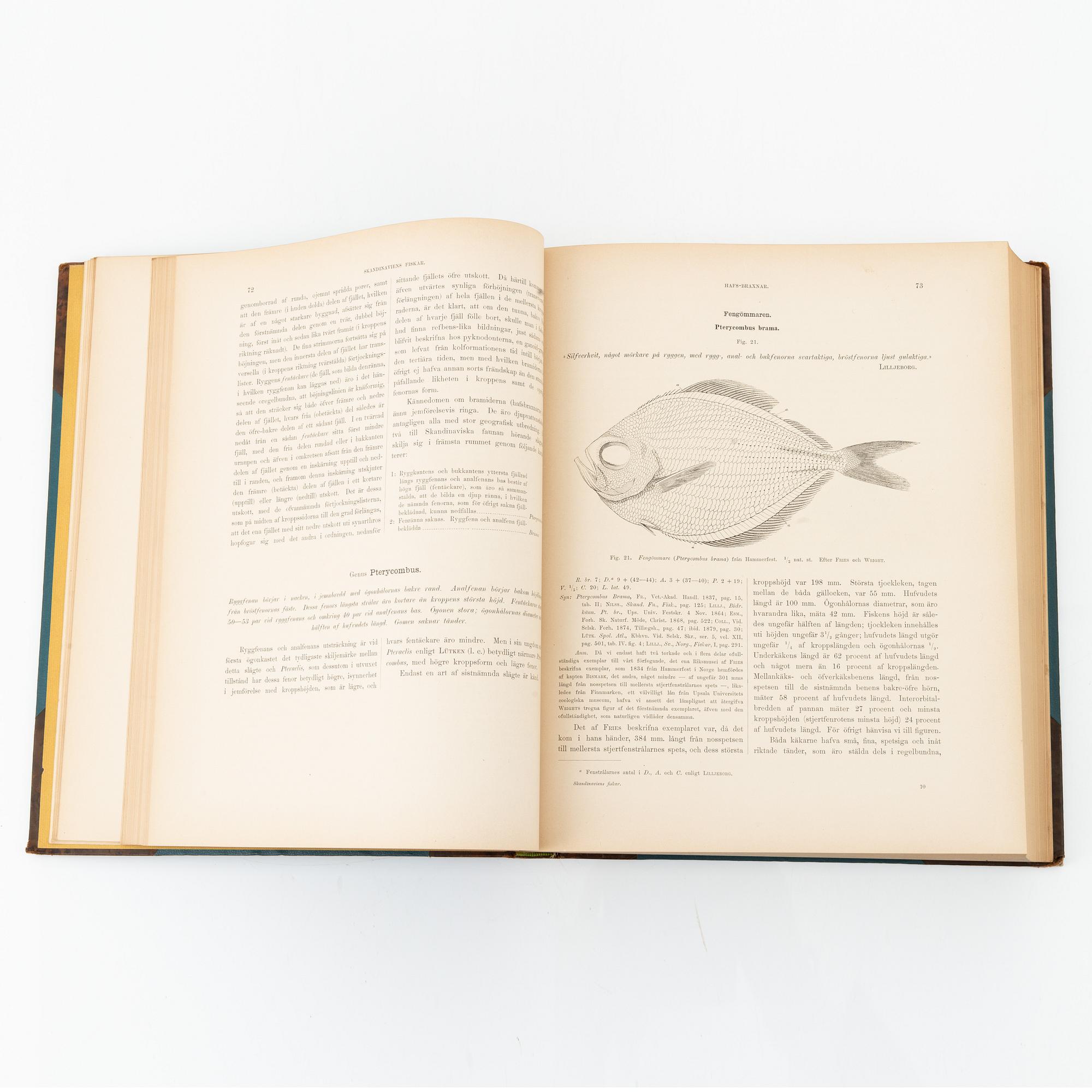 Wilhelm von Wright, 'Skandinaviens fiskar', three volumes, Stockholm, P. A. Norstedt & Söners Förlag, 1892-95.