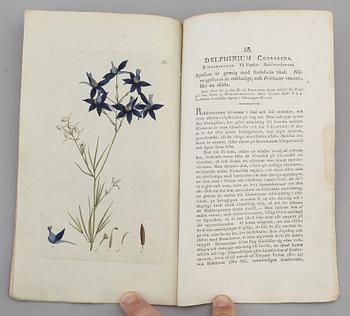 JOHAN WILHELM PALMSTRUCH, "Svensk Botanik, vol I-V. 1803-1805.