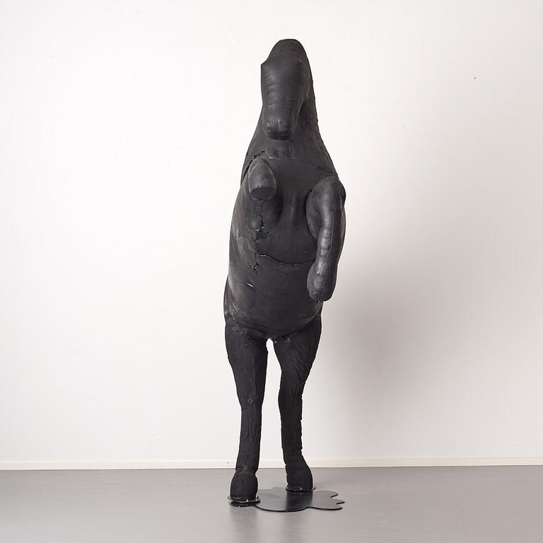 Linda Bäckström, "Black Beauty".