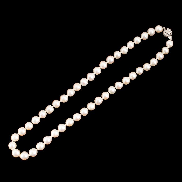 COLLIER, odlade pärlor, lås 18 k vitguld med små briljanter.