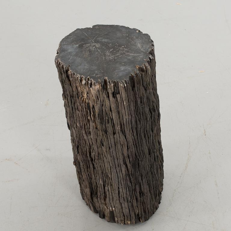 A FOSSILLISED WODDEN TREE.