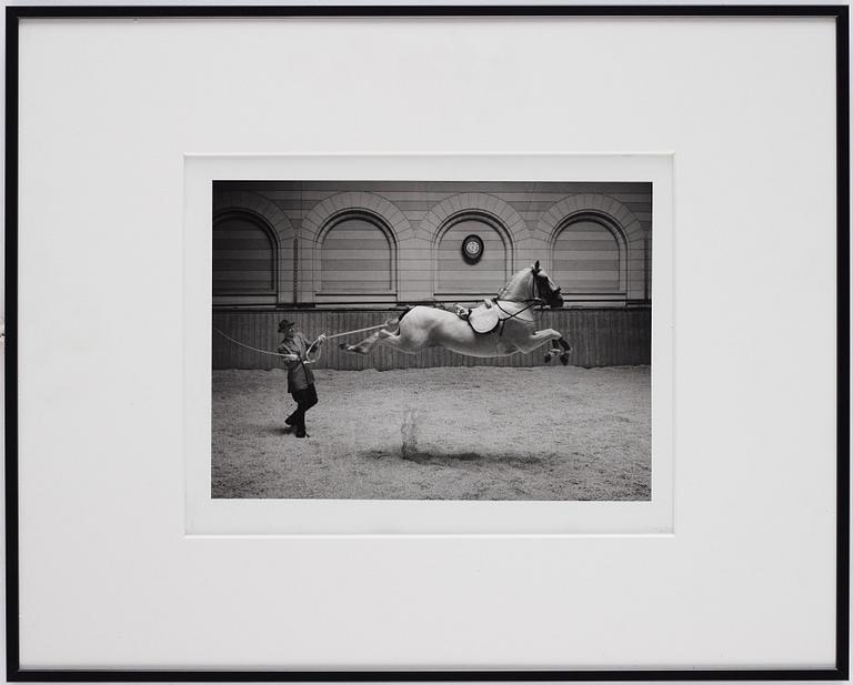 Hans Hammarskiöld, "Spanska ridskolan", 1952.