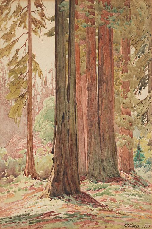 Gunnar Widforss, Träd, Yosemite Valley.