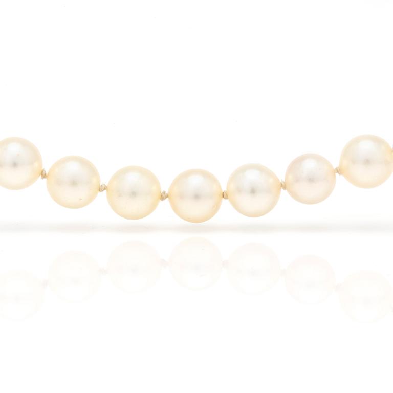 HALSBAND med odlade pärlor och lås i 18K guld med cabochonslipad turkos.