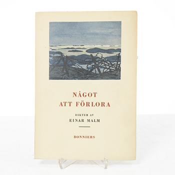 Roland Svensson, taggtråd i skärgårdmiljö.