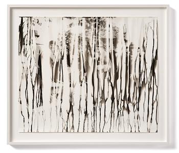 Iñaki Bonillas, "The Rain Came Last", 2013.