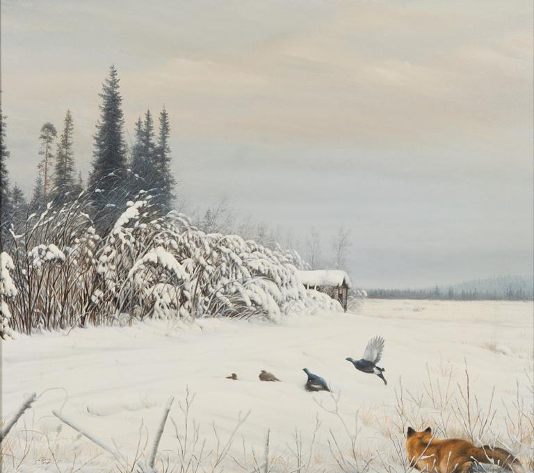 Teppo Terä, Räv på jakt.