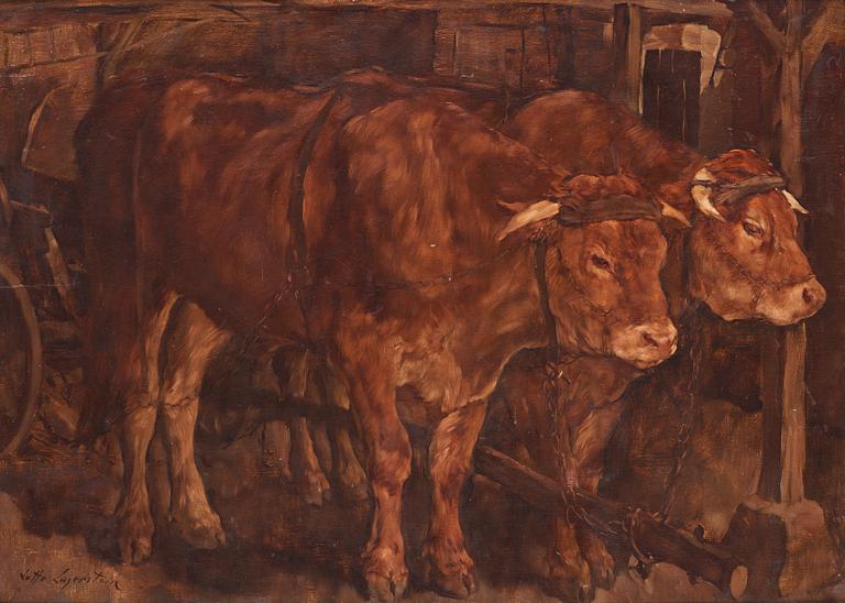 Lotte Laserstein, Two oxen.