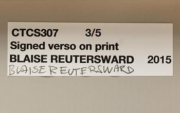 Blaise Reutersward, "CTCS307", 2015.