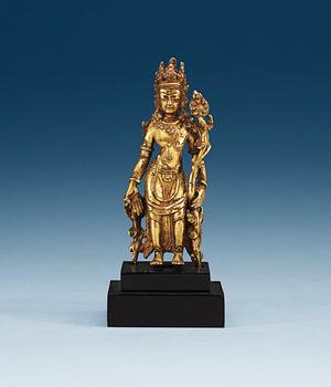 BODHISATTVA, förgylld brons. Nepal, 1700-tal.