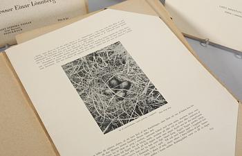 MAGNUS & WILHELM VON WRIGHT, 119 st, litografiska tryck ur "Svenska fåglar", 1900-talets första hälft.