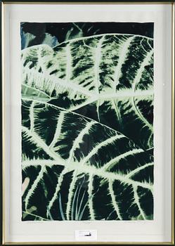 Rachelle Puryear · RACHELLE PURYEAR, serigrafi, sign o numr.