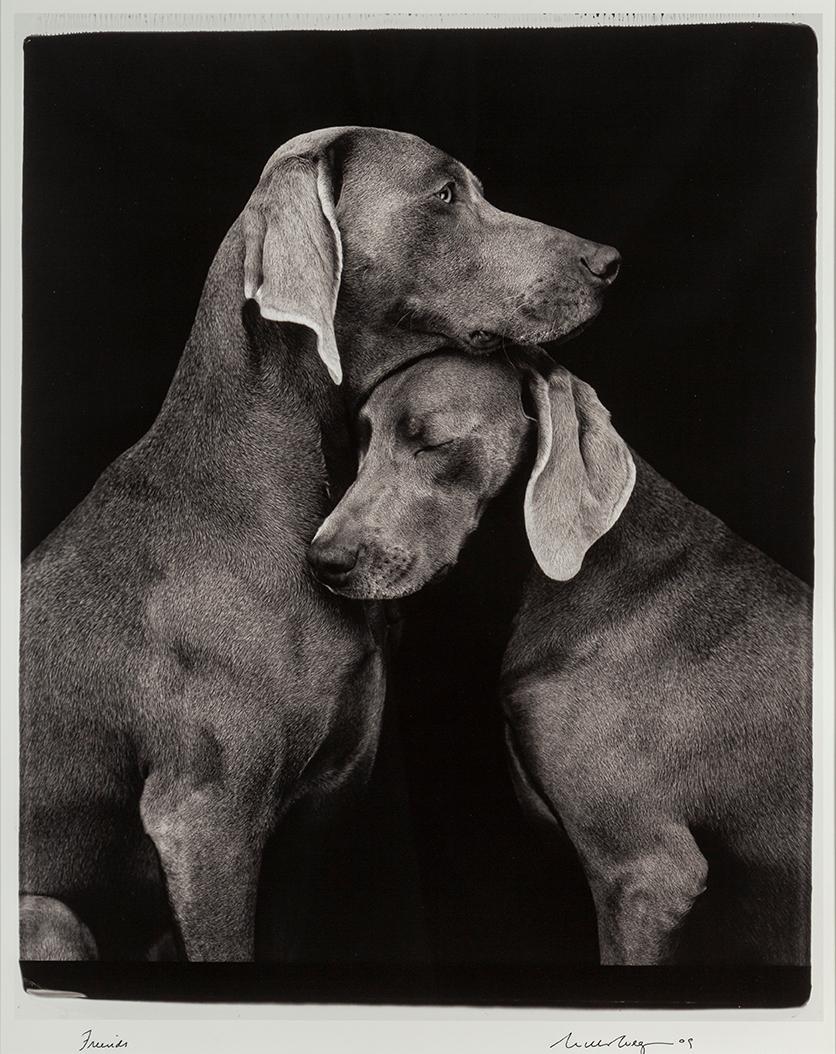 WILLIAM WEGMAN, fotografi, signerat och daterat -09.