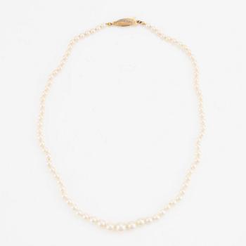 Necklace, with cultured graduated pearls, clasp in 18K gold.