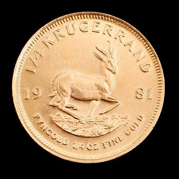 GULDMYNT, 1/4 krügerrand, Sydafrika, 1981. Vikt ca 8 gram.