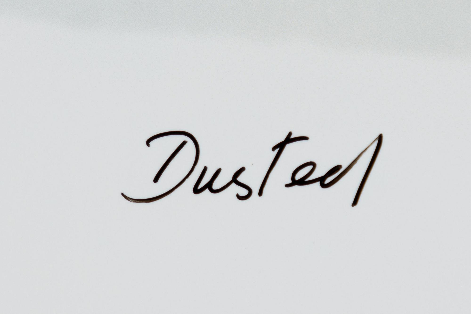William Wegman, "Dusted".
