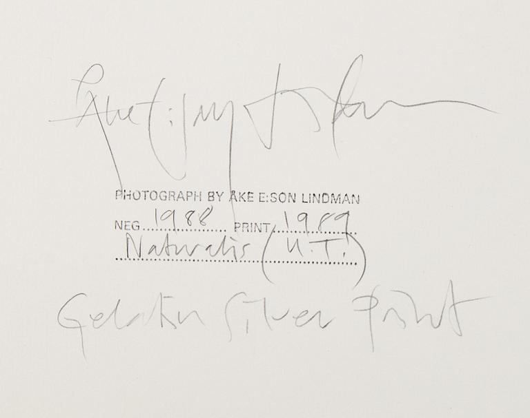 Åke E:son Lindman, Gelatin silver print, signed and dated 1989.
