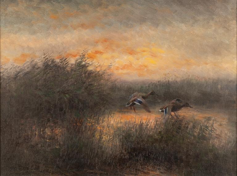 Mosse Stoopendaal, Flying mallards.