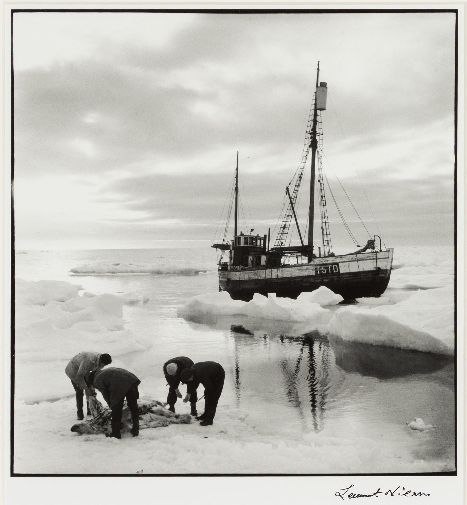Lennart Nilsson,  "Isbjörnsjakt vid Hvitøya (Vitön), Svalbard, Norge 1947".