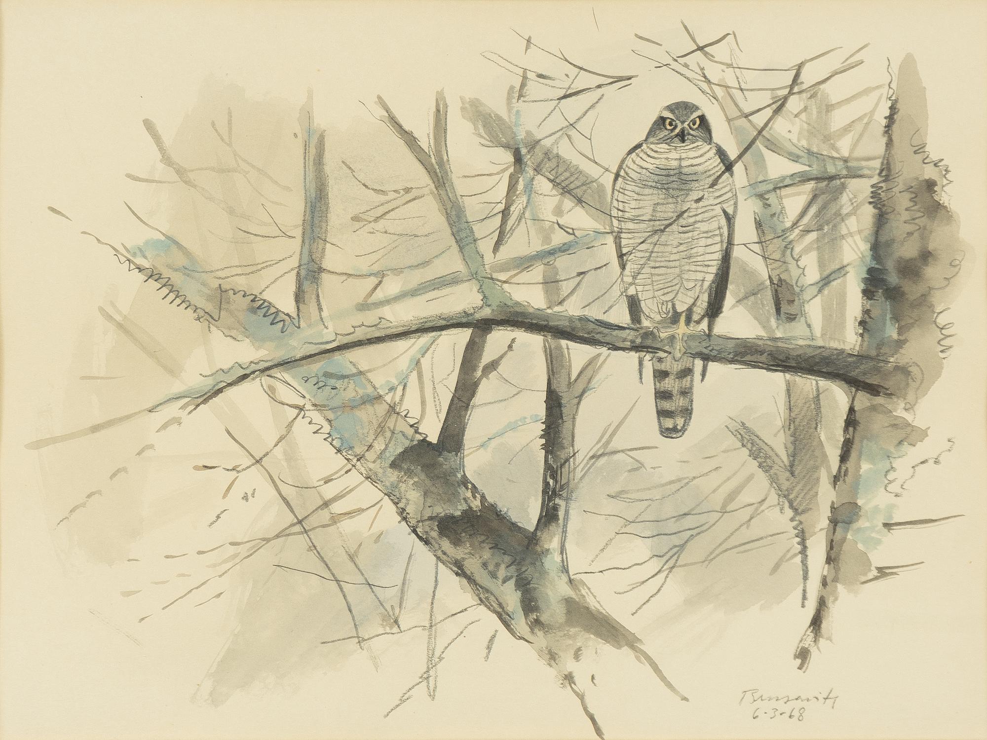 Gunnar Brusewitz, Falcon.