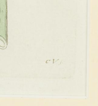 Twelve hand-coloured engravings, J.W. Palmstruch, from 'Svensk Botanik', 1802-1840.