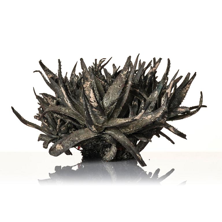 Roland Persson, "Aloe Vera".