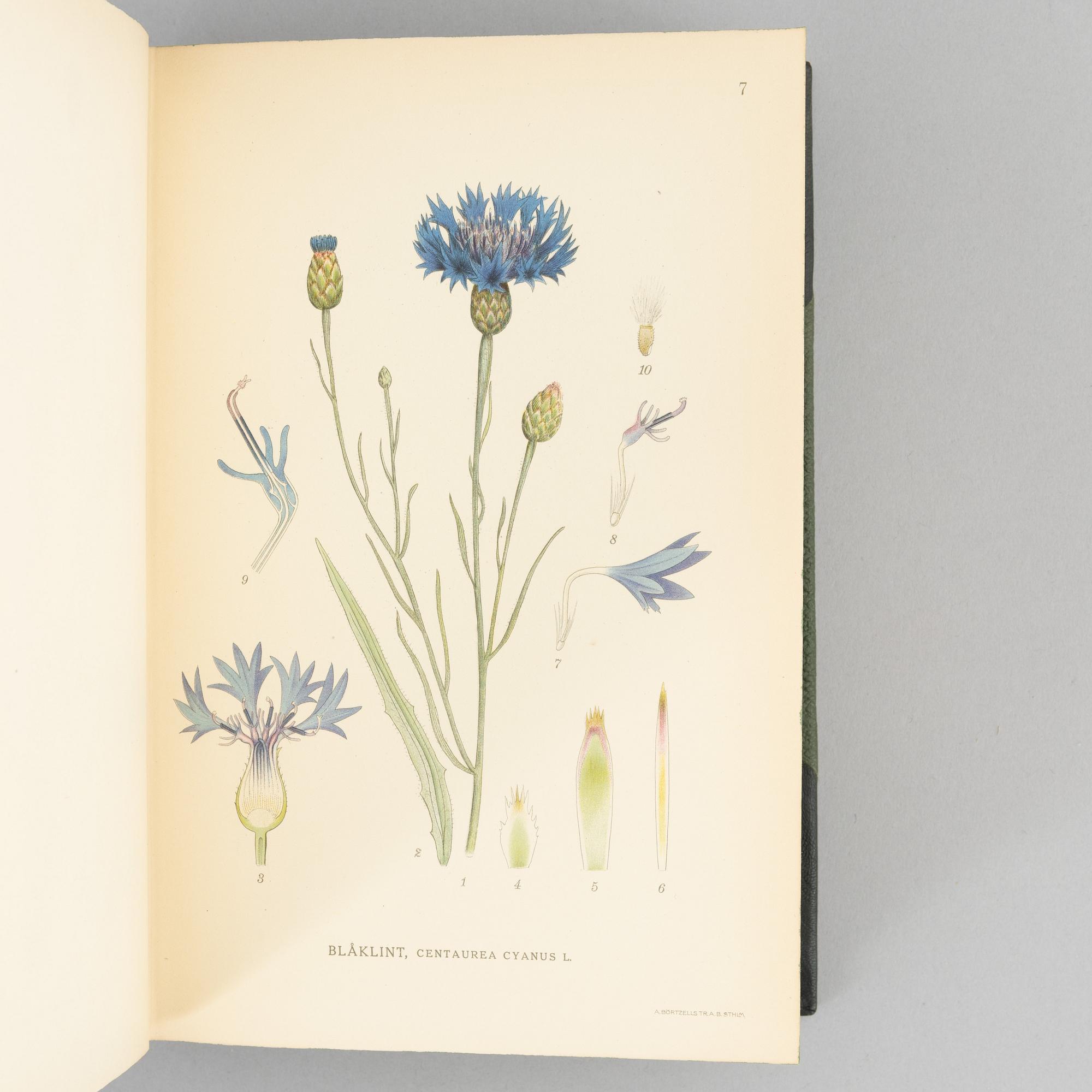 Nordens Flora 植物図鑑 C.A.M. Lindman　第9巻 Nordens Flora 植物図鑑 C.A.M. Lindman 第9巻 スウェーデンの